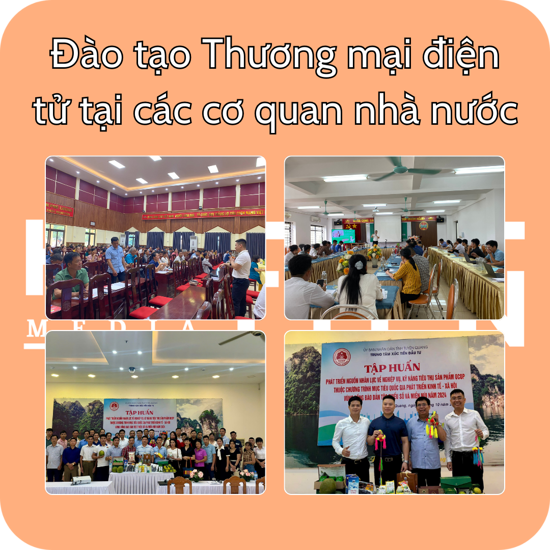 DAO TAO TMDT TAI CAC CO QUAN NHA NUOC 2